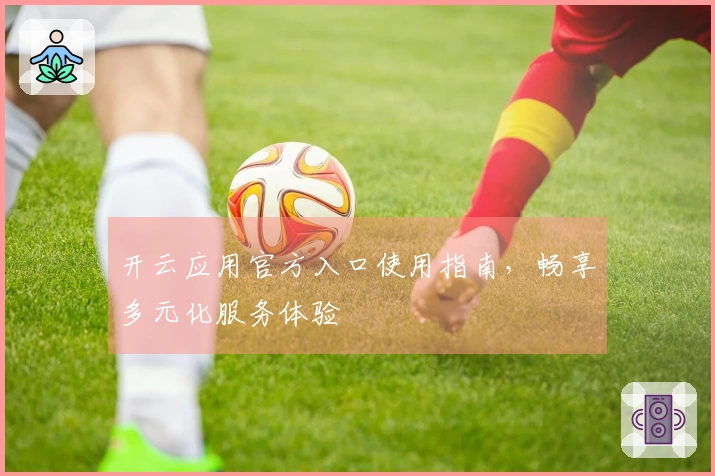 开云应用官方入口使用指南，畅享多元化服务体验
