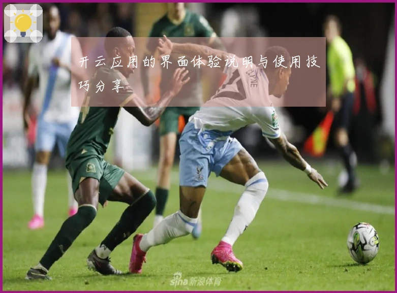 开云应用的界面体验说明与使用技巧分享