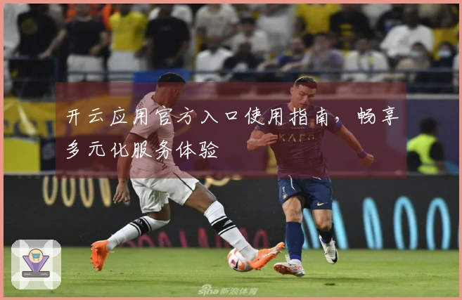 开云应用官方入口使用指南，畅享多元化服务体验
