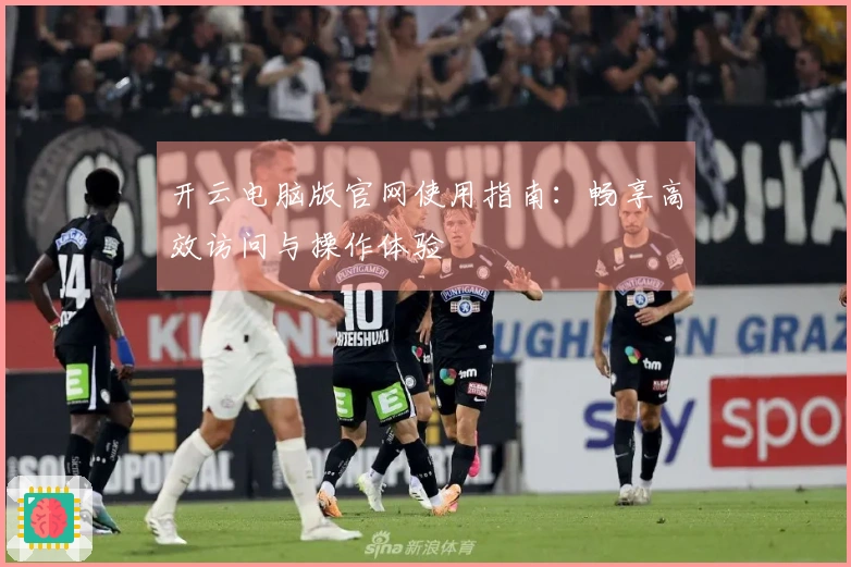开云电脑版官网使用指南：畅享高效访问与操作体验